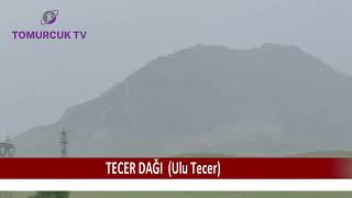 Tecer Daği