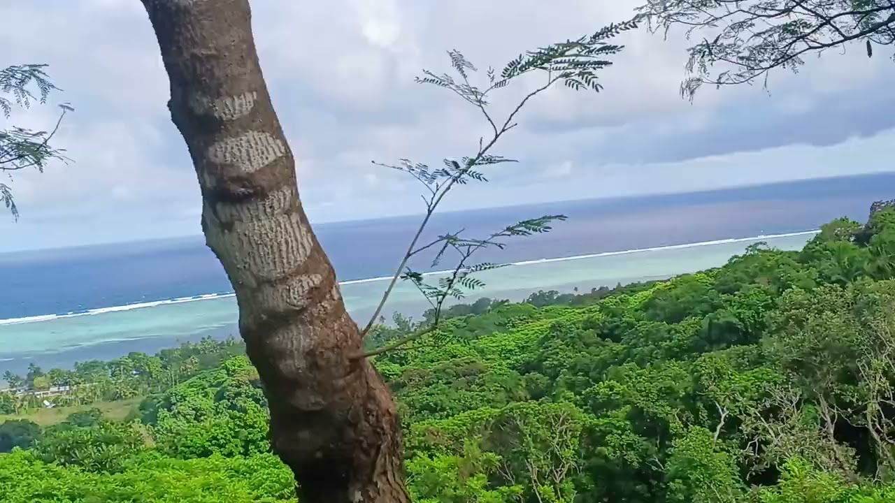 Beautiful view of 🇵🇼🇵🇼Palau