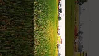 7 November 2022Short