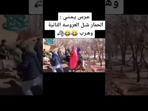 افضل عرس في التريخ الحمار شل العروسه ومشي