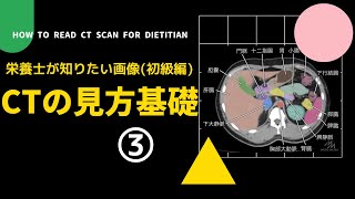 #43の③【栄養士が知りたい画像(初級編)_CTの見方基礎】How to Read CT scan for Dietitian