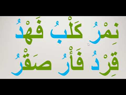المقطع الساكن كلمات ثلاثية كيف يقرأ وصفاته