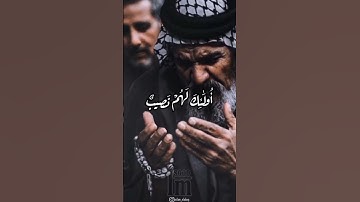 اللهم اجعل القرآن الكريم ربيع قلوبنا ونور صدورنا #القرآن_الكريم