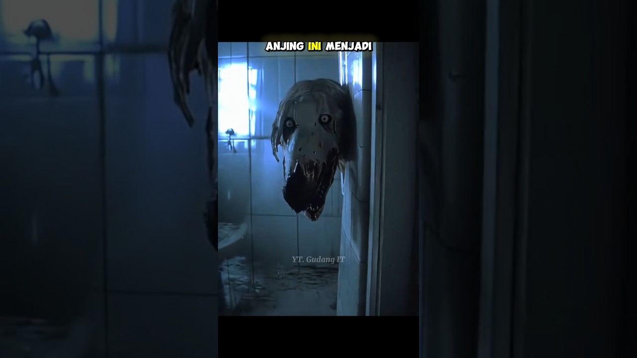 VIDIO MENYERAMKAN YANG DITEMUKAN DI INTERNET 