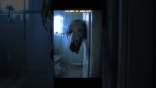 Vidio Menyeramkan Yang Ditemukan Di Internet