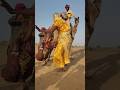 فرح بدوي على أنغام المرلي فوق كثبان صحراء ثار أجواء مليئة بالحماس صحراء ثار زفاف بدوي المرلي