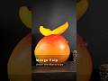 Mango Pulp Under the Microscope