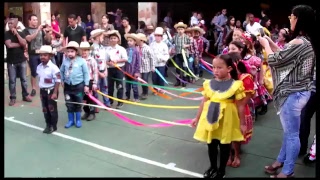 Transmissão Ao Vivo De Flavio Varela Cancado