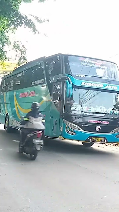 Bus SUMBER JAYA TRANS SJ64 Divisi Pariwisata ❗