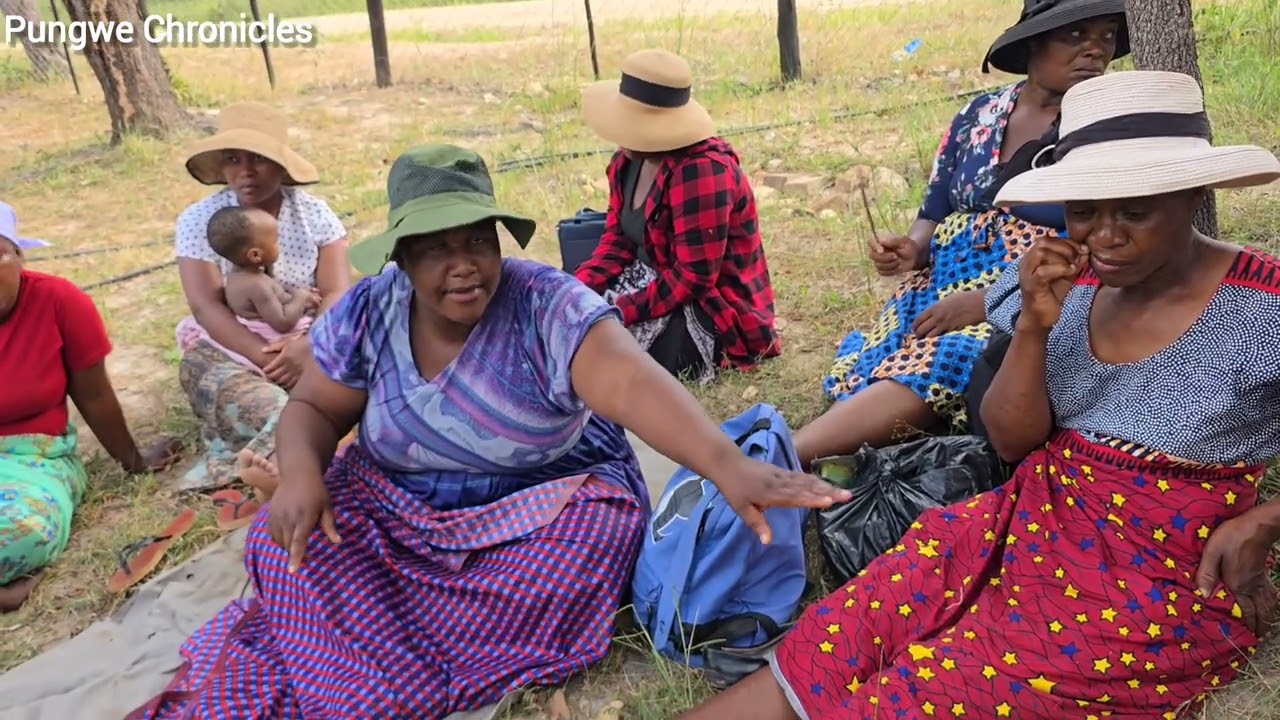 Sekuru Mukotsanjera ,Mbuya Mapingo vs Jombe Family.