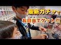 【最新ガチャ】サナギに幼虫？！狙いを定めて色んな生き物集めよう！（昆虫博士）