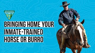 Bringing home your inmate-trained wild horse or burro