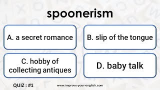 Quiz - 1 - spoonerism - WORD GAME screenshot 2