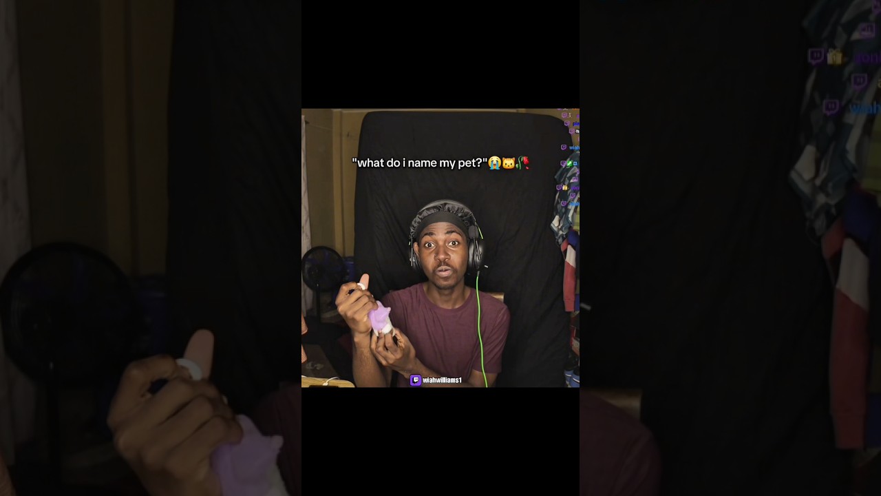 Я только что попросила придумать имя для своего питомца 😭