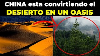 CHINA conmociona al MUNDO con su AMBICIOSO PLAN DE REFORESTACIÓN