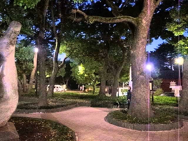 街中の幸せ Shibakoen Evening Tune 夕方の芝公園 (121122) - YouTube