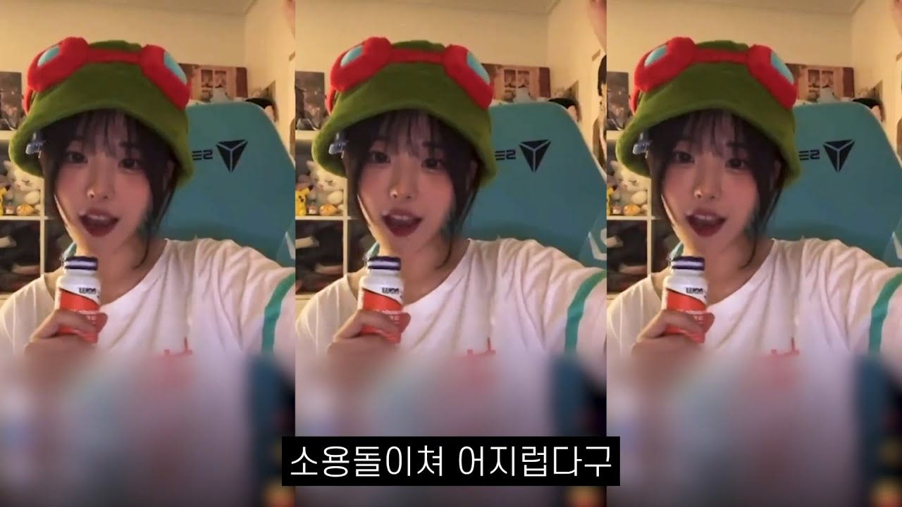 냥뇽녕냥(히나) - 고민중독 음보정(?)