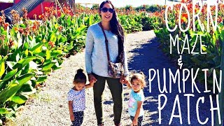 La Union Corn Maze & Pumpkin Patch