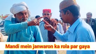 ‌Mandi mein janwaron ka rola par gaya 19 December 2021