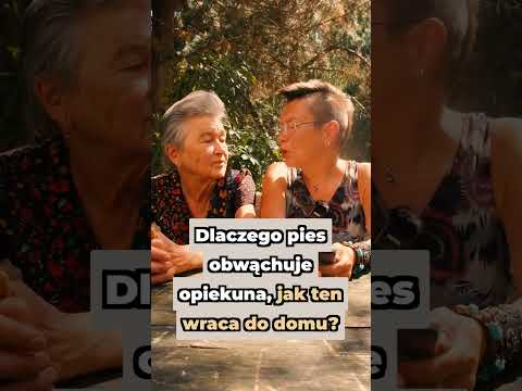 Dlaczego pies obwąchuje opiekuna, kiedy ten wraca do domu?