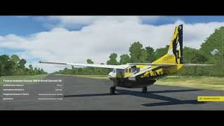 Microsoft Flight Simulator