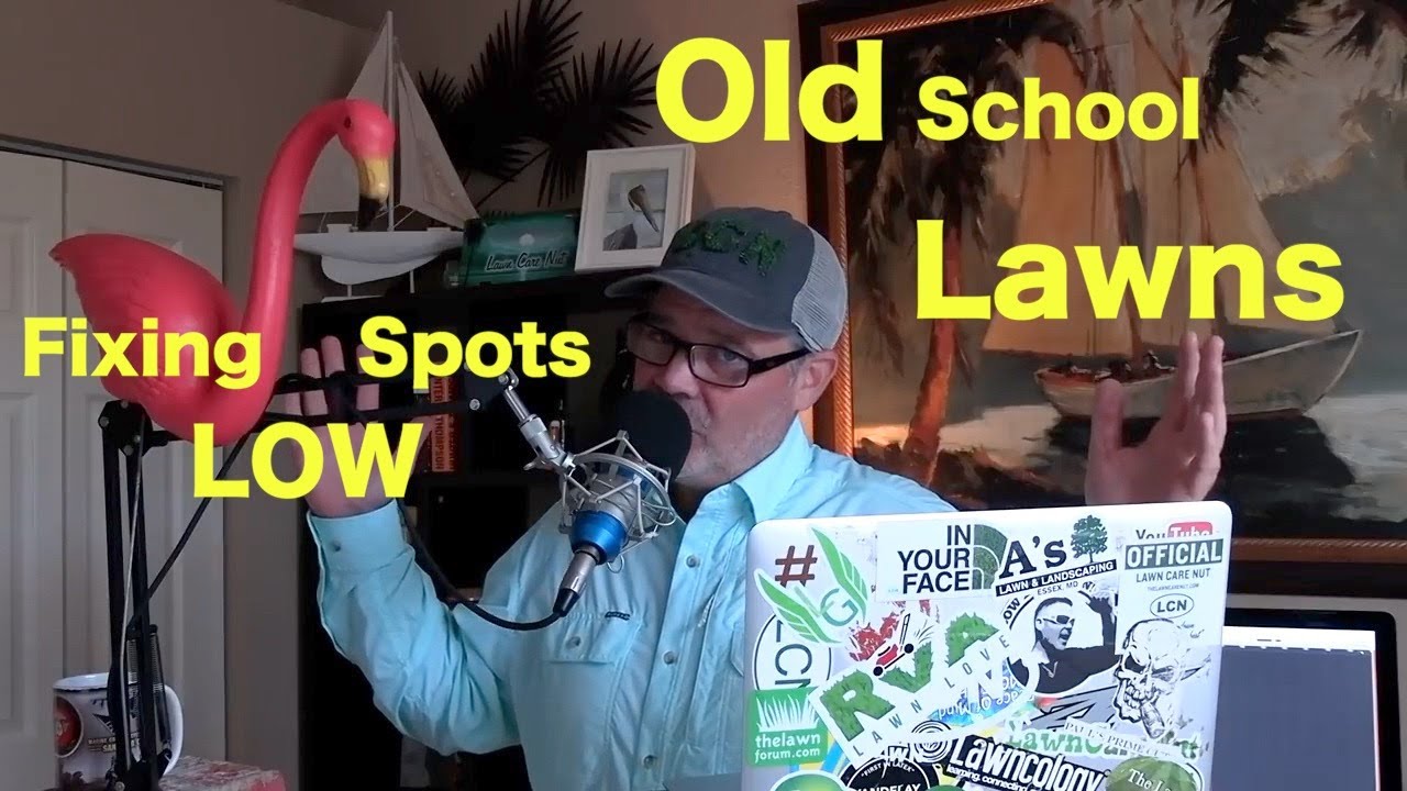 How to Fix Low Spots | Common Old School Lawn Problems