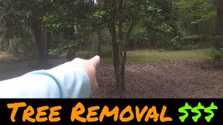 Walk through on a tree removal estimate