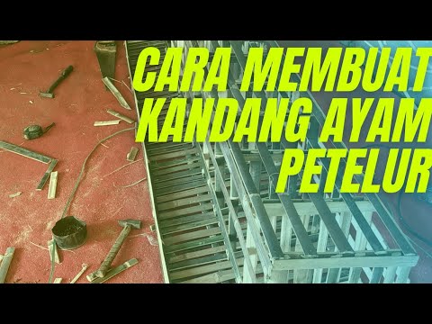 Cara Membuat Kandang Ayam Petelur Dari Kayu Dan Bambu