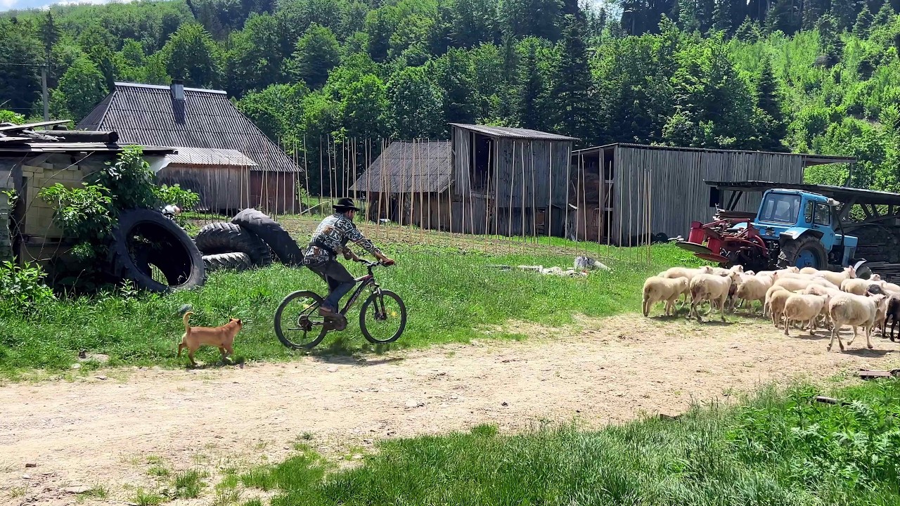Всю жизнь в отдалённой горной деревне
