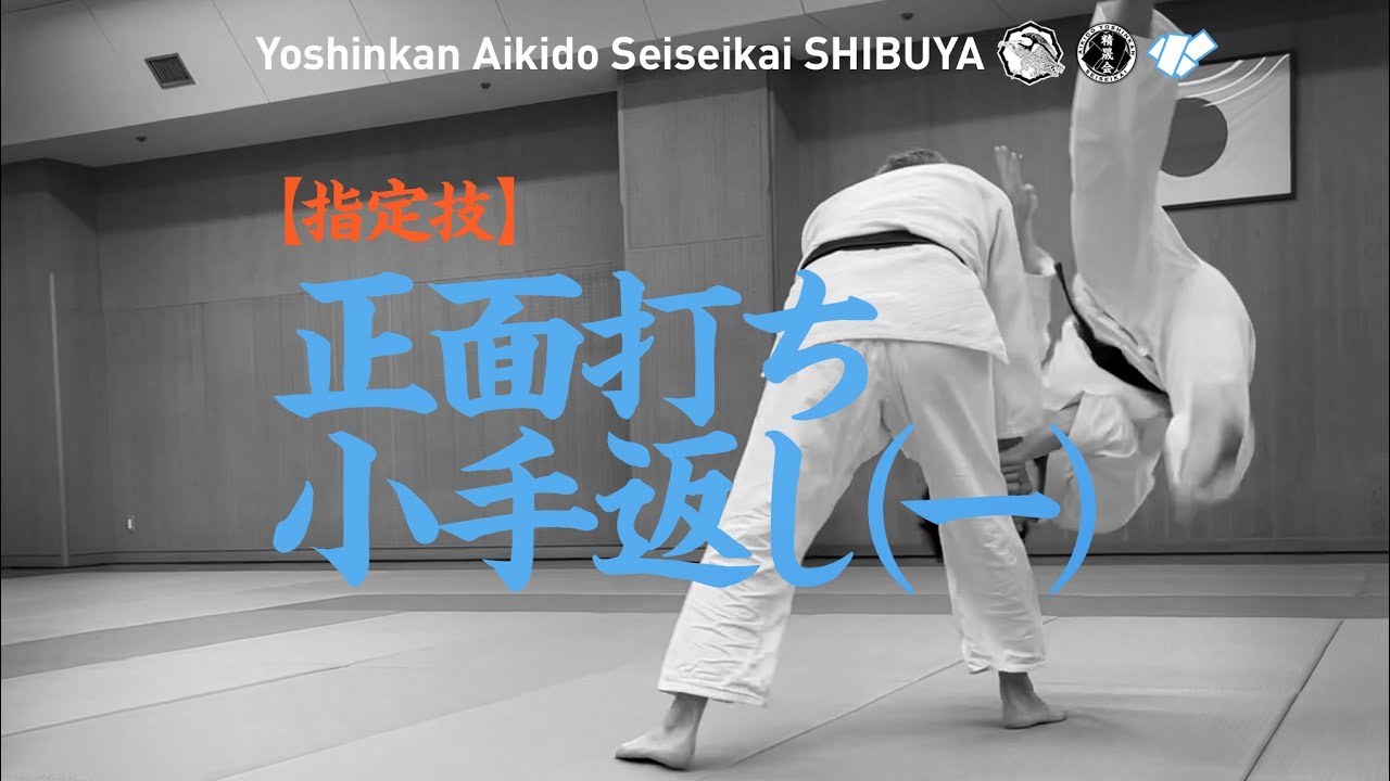 ［指定技｜正面打ち小手返し(一)］養神館合気道 精晟会渋谷の稽古