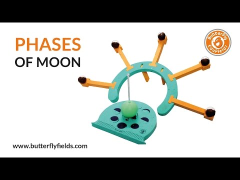 Earth, Moon & Sun play Hide & Seek | PHASES OF MOON | Butterfly Fields