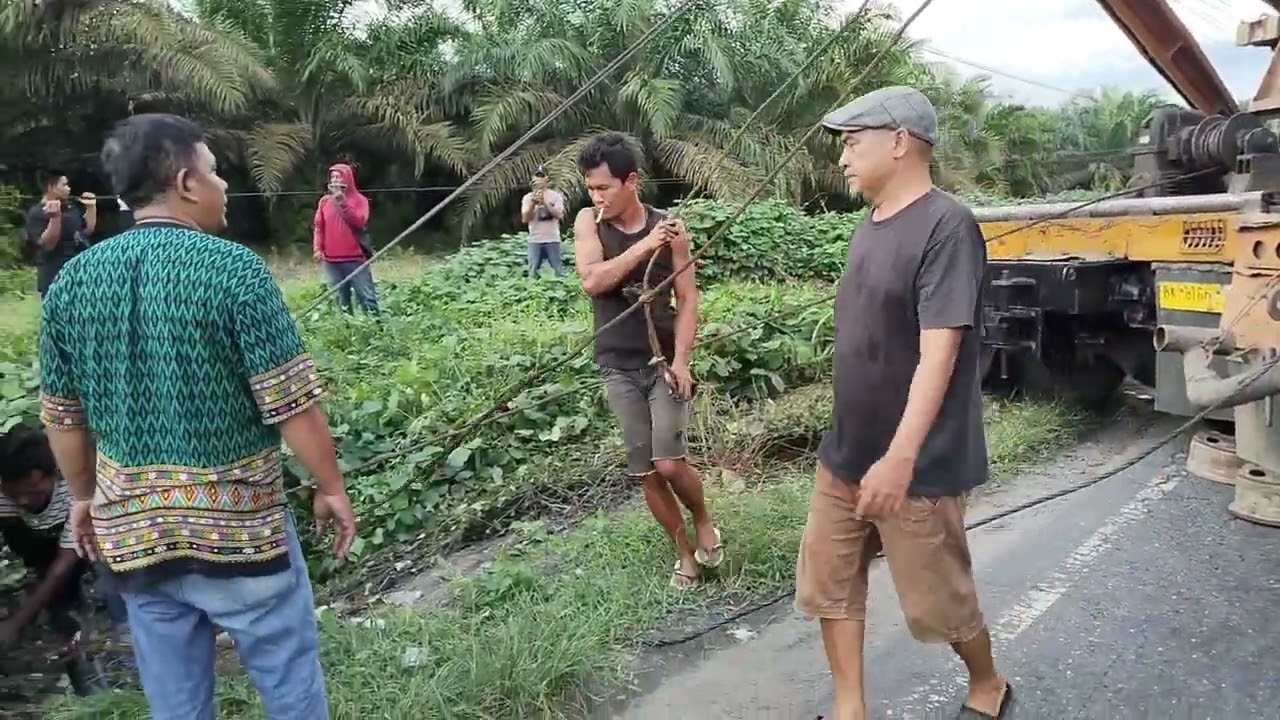 Proses evakuasi bus pariwisata yang masuk ke dalam parit gajah. #busmania #cover #automobile 