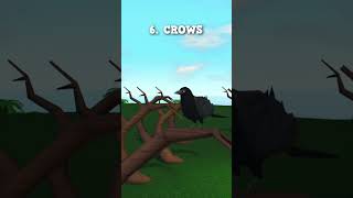 heres how to find every bloxburg animal, like mice, turtles, bugs and more! #roblox #bloxburg