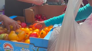 Details COLLECT, GROW, SHARE: How one group feeds families in Immokalee food desert Update