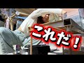 【メダカ】出遅れちゃった〜😩もう卵を産み始めてるのに大切な親選びがまだ…よし!今年こそ見極めるぞ!|アクアリウム|メダ活スタート|飼育
