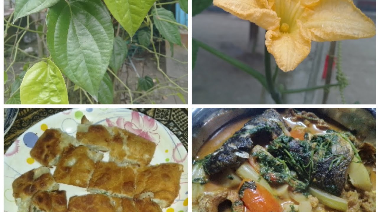 ✨ আমার অসুস্থ না হলে বুঝি না সুস্থতা আল্লাহর কত বড় নেয়ামত।@faridakitchenwithvlog