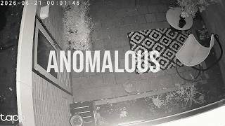 💠 🖧 🕷️ ✨ ANOMALOUS | SPIDERNODE EVENT | INTERDIMENSIONAL NHI | ORBS | CAP ✨ 🕷️ 🖧 💠#spirituality