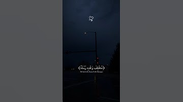اكتب شيء تؤجر عليه ❤🌿 || القارئ عبدالرحمن مسعد 😴🎧