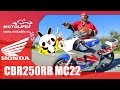 Honda CBR250RR MC22