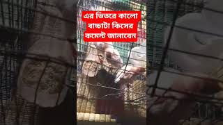 #shortsvideo #viral #adipurush #music সাবস্ক্রাইব করবেন