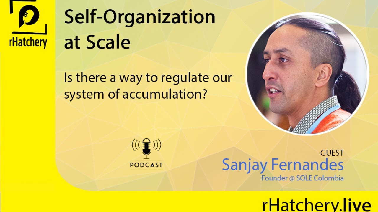 Self-Organization  at Scale