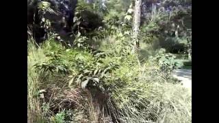 Winding Waters Natural Area WPB easy paved path
