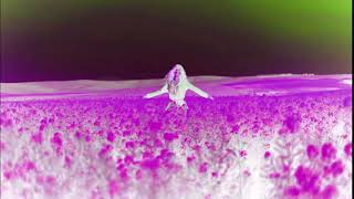 Shaq - Virtual Beat Battle Sample Flip Free Download