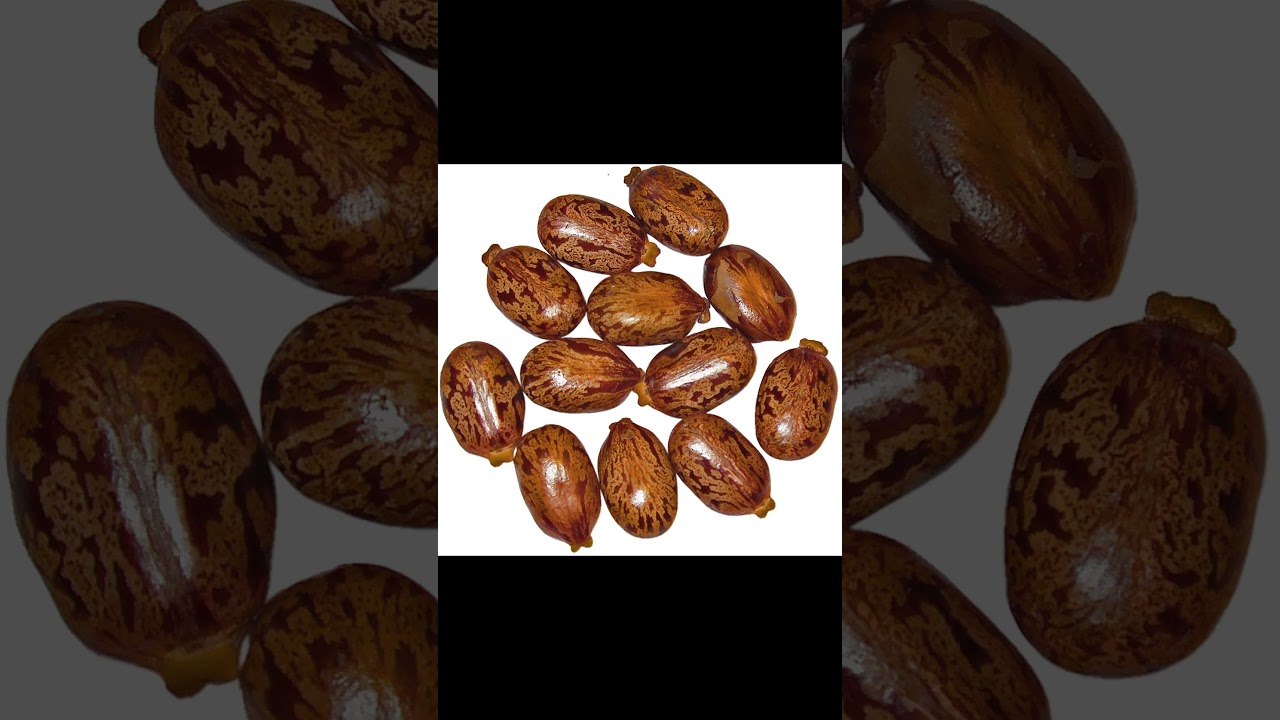 Castor Oil Skin Secrets 😱✨ 1 | Glow, Acne-Free, Anti-Aging Hacks! | DIY Skincare That Actually Works