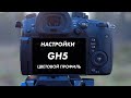 Panasonic GH5 | Настройка цветового профиля с примерами