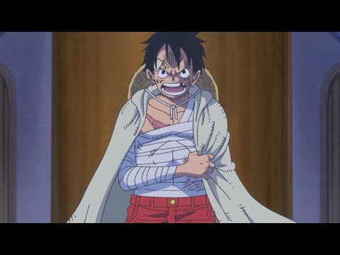 One Piece ASMV I Am Your Captain 