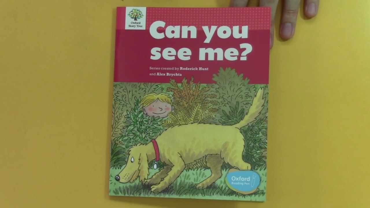 Can You See Me? (Biff, Chip and Kipper)