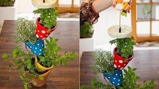 Tự làm chậu trồng rau thơm xếp tầng trong bếp cực độc đáo