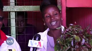 Kenya: Ufahamu mfumo wa biashara ya miraa na athari zake