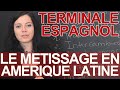 Espacios e intercambios : el mestizaje en America latina - Espagnol - Terminale - Les Bons Profs